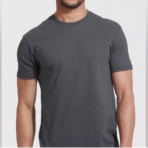 True Classic Crew Neck Tee in gray xl